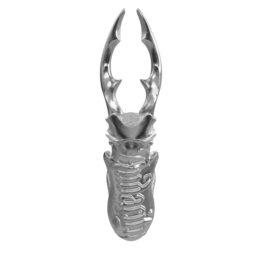 Horn
